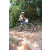 Team 03 / Raid l'Arbre Vert Cambodge - VTT