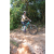 Team 03 / Raid l'Arbre Vert Cambodge - VTT