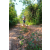 Team 03 / Raid l'Arbre Vert Cambodge - VTT
