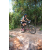 Team 06 / Raid l'Arbre Vert Cambodge - VTT