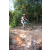 Team 06 / Raid l'Arbre Vert Cambodge - VTT