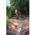 Team 06 / Raid l'Arbre Vert Cambodge - VTT