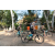 Team 57 / Raid l'Arbre Vert Cambodge - VTT