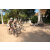 Team 65 / Raid l'Arbre Vert Cambodge - VTT