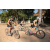 Team 15 / Raid l'Arbre Vert Cambodge - VTT