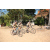 Team 10 / Raid l'Arbre Vert Cambodge - VTT