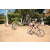 Team 76 / Raid l'Arbre Vert Cambodge - VTT