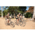 Team 77 / Raid l'Arbre Vert Cambodge - VTT