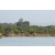 Team 11 / Raid l'Arbre Vert Cambodge - VTT