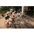 Team 29 / Raid l'Arbre Vert Cambodge - VTT