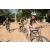 Team 63 / Raid l'Arbre Vert Cambodge - VTT