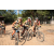 Team 30 / Raid l'Arbre Vert Cambodge - VTT