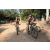 Team 53 / Raid l'Arbre Vert Cambodge - VTT