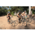Team 20 / Raid l'Arbre Vert Cambodge - VTT