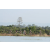 Raid l'Arbre Vert Cambodge - VTT