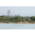 Team 65 / Raid l'Arbre Vert Cambodge - VTT