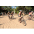Team 37 / Raid l'Arbre Vert Cambodge - VTT