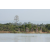 Team 80 / Raid l'Arbre Vert Cambodge - VTT