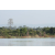 Team 13 / Raid l'Arbre Vert Cambodge - VTT