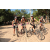 Team 38 / Raid l'Arbre Vert Cambodge - VTT