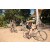 Team 58 / Raid l'Arbre Vert Cambodge - VTT