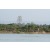 Team 86 / Raid l'Arbre Vert Cambodge - VTT