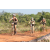 Team 24 / Raid l'Arbre Vert Cambodge - VTT