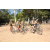 Team 80 / Raid l'Arbre Vert Cambodge - VTT