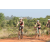 Team 38 / Raid l'Arbre Vert Cambodge - VTT