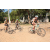 Team 19 / Raid l'Arbre Vert Cambodge - VTT