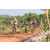 Team 21 / Raid l'Arbre Vert Cambodge - VTT
