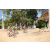 Team 13 / Raid l'Arbre Vert Cambodge - VTT