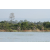 Team 41 / Raid l'Arbre Vert Cambodge - VTT