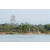 Team 16 / Raid l'Arbre Vert Cambodge - VTT