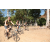 Team 72 / Raid l'Arbre Vert Cambodge - VTT