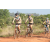 Team 16 / Raid l'Arbre Vert Cambodge - VTT