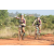 Team 19 / Raid l'Arbre Vert Cambodge - VTT