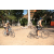 Team 61 / Raid l'Arbre Vert Cambodge - VTT