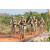 Raid l'Arbre Vert Cambodge - VTT