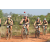 Team 53 / Raid l'Arbre Vert Cambodge - VTT