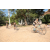 Team 24 / Raid l'Arbre Vert Cambodge - VTT