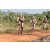 Team 43 / Raid l'Arbre Vert Cambodge - VTT