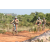 Team 85 / Raid l'Arbre Vert Cambodge - VTT