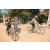 Team 56 / Raid l'Arbre Vert Cambodge - VTT