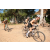 Team 43 / Raid l'Arbre Vert Cambodge - VTT