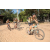 Team 21 / Raid l'Arbre Vert Cambodge - VTT
