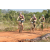 Team 12 / Raid l'Arbre Vert Cambodge - VTT