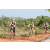 Team 45 / Raid l'Arbre Vert Cambodge - VTT