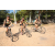 Team 86 / Raid l'Arbre Vert Cambodge - VTT
