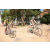 Team 06 / Raid l'Arbre Vert Cambodge - VTT